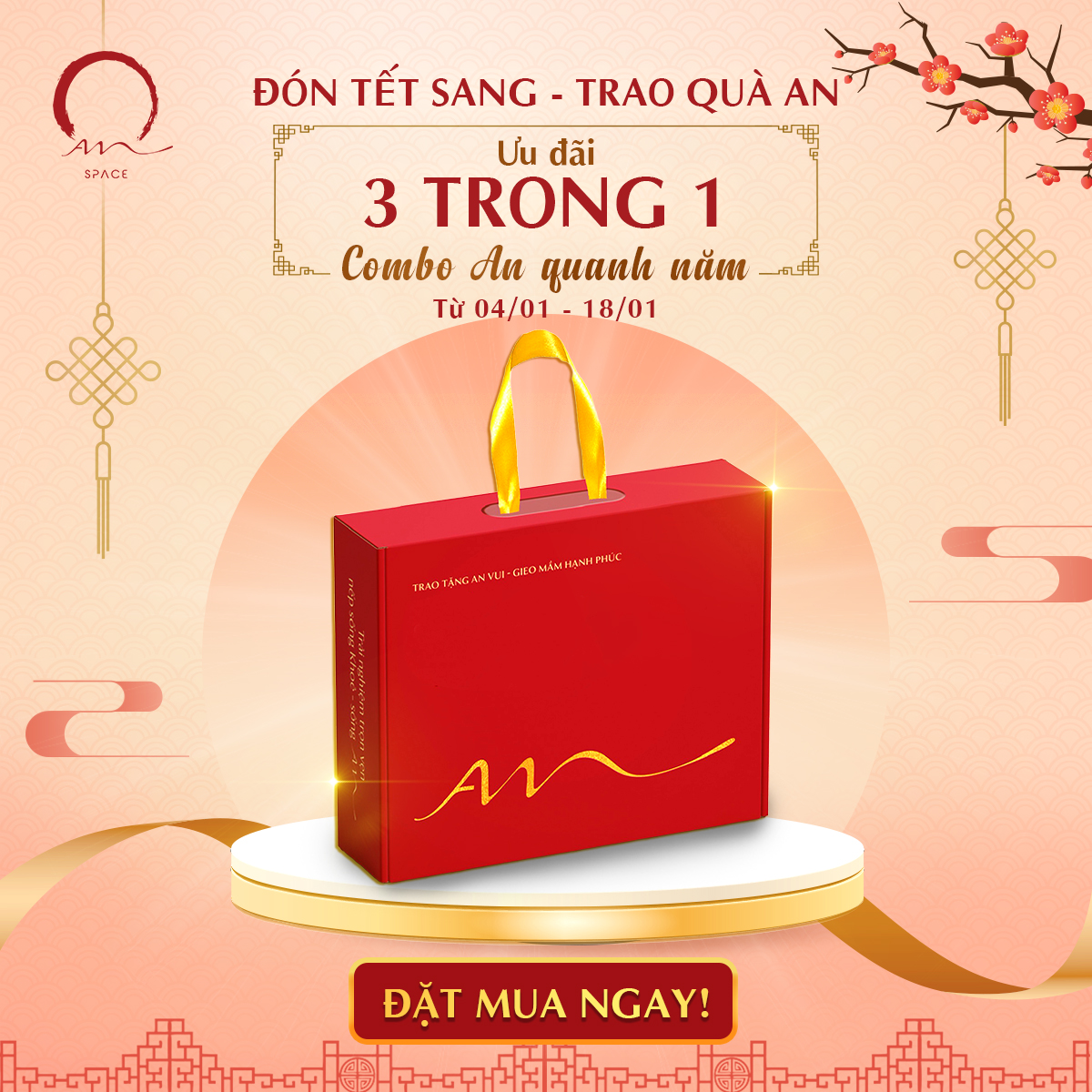 ĐÓN TẾT SANG - TRAO QUÀ AN LÀNH CÙNG ƯU ĐÃI 3 IN 1 TỪ AN SPACE